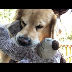 Meet your Posher, Kaitlyn